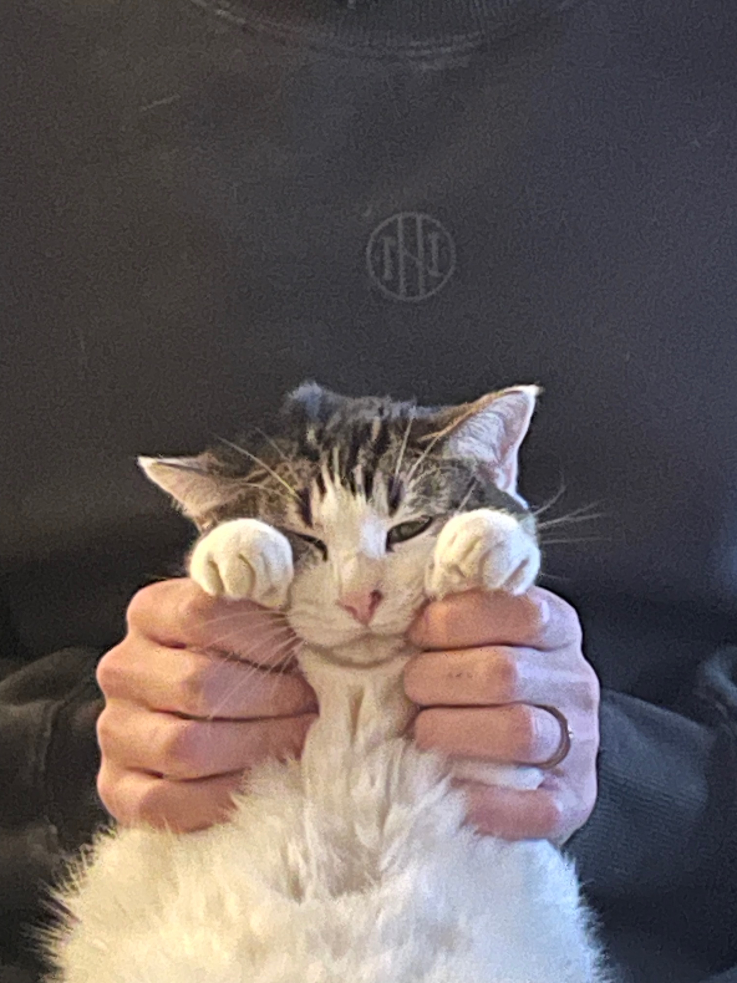 Coffee June-Bean snapshot